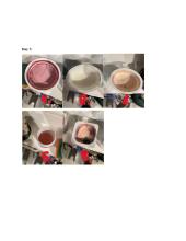 Study of the dependency of food shelf life on natural or highly synthetic food additives 12 puslapis