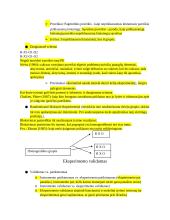 Psichologiniai tyrimai. Eksperimentas 7 puslapis