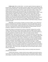 Platonas. Idėjų teorija: olos mitas. Meilės teorija: Eroto mitas. Dorybių teorija: žemės mitas 2 puslapis