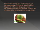 Bendrija ir ekosistema 3 puslapis