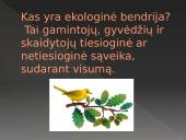 Bendrija ir ekosistema 4 puslapis