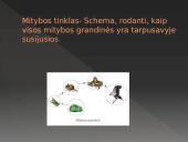 Bendrija ir ekosistema 8 puslapis