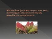 Bendrija ir ekosistema 9 puslapis