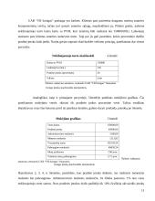 Nekilnojamojo turto išperkamoji nuoma: UAB "VB lizingas" 12 puslapis