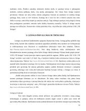 Nekilnojamojo turto išperkamoji nuoma: UAB "VB lizingas" 13 puslapis