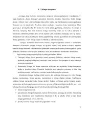 Nekilnojamojo turto išperkamoji nuoma: UAB "VB lizingas" 4 puslapis