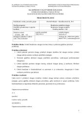 Bendrosios slaugos praktikos ataskaita 2 puslapis