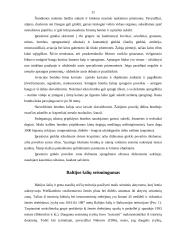 Nelaimingi atsitikimai ir stichinės nelaimės 10 puslapis