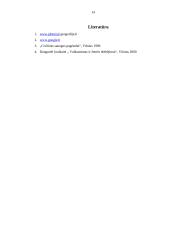 Nelaimingi atsitikimai ir stichinės nelaimės 13 puslapis