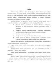 Nelaimingi atsitikimai ir stichinės nelaimės 2 puslapis