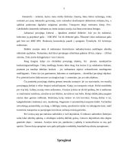 Nelaimingi atsitikimai ir stichinės nelaimės 4 puslapis