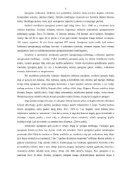 Nelaimingi atsitikimai ir stichinės nelaimės 5 puslapis