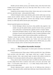 Nelaimingi atsitikimai ir stichinės nelaimės 8 puslapis