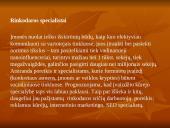Profesijų populiarumas 4 puslapis