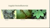 Bioindikatoriai ir jų įvairovė 4 puslapis