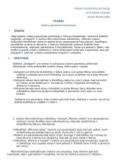 Moterų paveikslai literatūroje. Planas