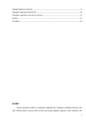 Nelegalios migracijos fenomenas ir prevencija 2 puslapis