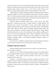 Nelegalios migracijos fenomenas ir prevencija 3 puslapis