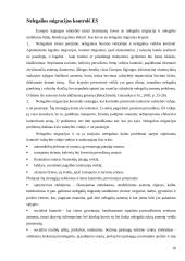 Nelegalios migracijos fenomenas ir prevencija 10 puslapis