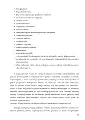 Nematerialinis darbuotojų skatinimas 18 puslapis