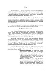 Neofunkcionalizmo reabilitacija 2 puslapis