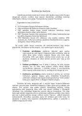 Neofunkcionalizmo reabilitacija 4 puslapis