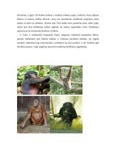 Nepamirškim, kad žmogus yra gyvūnas 11 puslapis