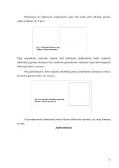 Nepilnamečių alkoholio vartojimas dėl lengvo prieinamumo 11 puslapis