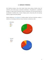 „3cubes“ įmonės įvedimas į Lietuvos rinką tyrimo analizė 5 puslapis