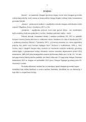 Bendravimas su senyvo amžiaus žmonėmis (demencija) 2 puslapis