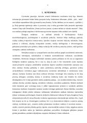 Bendravimas su senyvo amžiaus žmonėmis (demencija) 3 puslapis