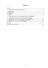 Laivų vidaus degimo variklių išmetamųjų dujų kenksmingumo mažinimo būdai