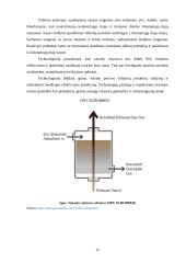 Laivų vidaus degimo variklių išmetamųjų dujų kenksmingumo mažinimo būdai 11 puslapis