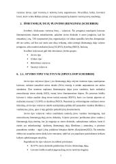 Laivų vidaus degimo variklių išmetamųjų dujų kenksmingumo mažinimo būdai 6 puslapis