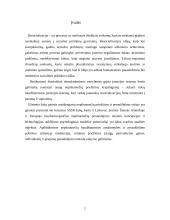 Nepilnamečių resocializacija užsienio šalyse 2 puslapis