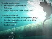 Vamzdynų transporto atsiradimo istorija, jo reikšmė ir ateities perspektyvos 3 puslapis