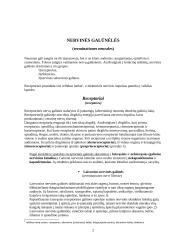 Nervinės galūnėlės 2 puslapis