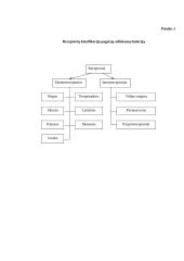 Nervinės galūnėlės 11 puslapis