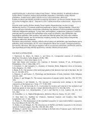 Nervinės galūnėlės 18 puslapis