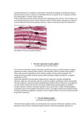 Nervinės galūnėlės 9 puslapis