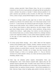 V. Šekspyro ,,Hamletas“ spektaklio recenzija 2 puslapis