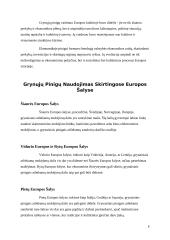 Mokėjimų grynaisiais pinigais raida: 21-ojo amžiaus Europos analizė 5 puslapis