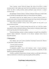 Nesąžiningos konkurencijos draudimas 6 puslapis