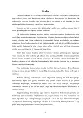 Nesąžiningos konkurencijos draudimas 9 puslapis