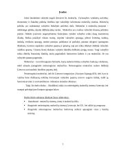 Mokesčių esmė ir netiesioginiai mokesčiai 2 puslapis