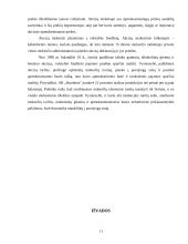 Mokesčių esmė ir netiesioginiai mokesčiai 11 puslapis