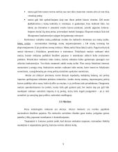 Mokesčių esmė ir netiesioginiai mokesčiai 9 puslapis