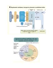 Netinkamų naudoti automobilių eksploatavimas 3 puslapis