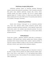 Netinkamų naudoti automobilių eksploatavimas 5 puslapis