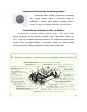 Netinkamų naudoti automobilių eksploatavimas 6 puslapis